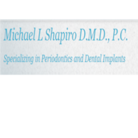Dr. Michael  Shapiro