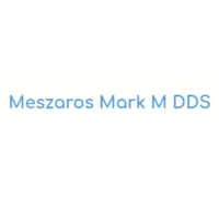 Dr. Mark  Meszaros