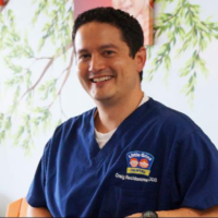 Dr. Craig A Rechkemmer