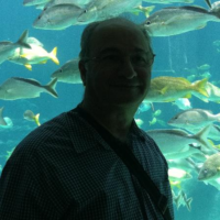 Dr. George J Kassolis