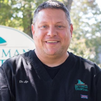 Dr. jon paul  van regenmorter