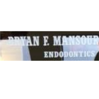 Dr. Bryan  Mansour