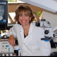 Dr. Betty J Schindler
