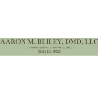 Dr. Aaron Matthew Bliley