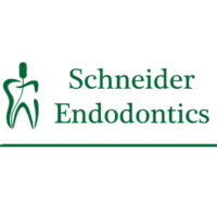 Dr. Robert S Schneider