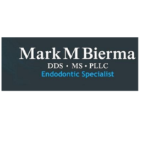 Dr. Mark M Bierma