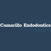 Dr. Andrew  Yamamoto