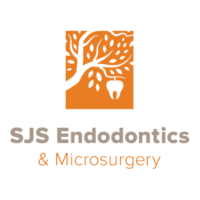 Dr. Steven  Schmoldt