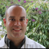Dr. Mehdi L Ghavam