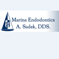 Dr. Ahmed  Sadek