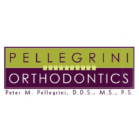 Dr. Peter  Pellegrini