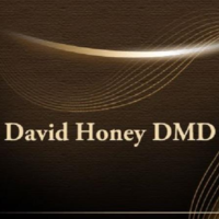 Dr. David W Honey