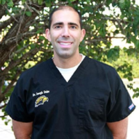 Dr. JOSEPH J DAHO