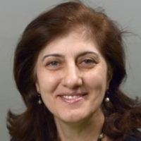 Dr. Linda N Shafik