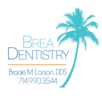 Dr. Brooks M Larson