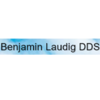 Dr. Benjamin I Laudig
