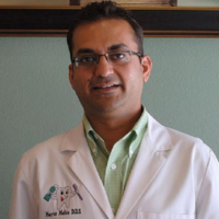 Dr. Mayur  Mehta