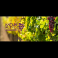 Dr. Kaitilin K Riley