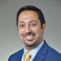 Dr. Mehrdad S Safavian