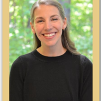 Dr. Stephanie  Werner