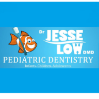 Dr. Jesse A Low