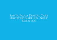 Dr. Bortay  Dehnadi