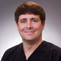 Dr. Louie N Lamendola