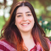 Dr. Najmeh  Hannanvash
