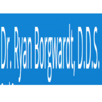 Dr. Ryan N Borgwardt