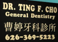Dr. Ting  Cho