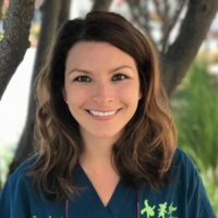 Dr. Jessica M Alt
