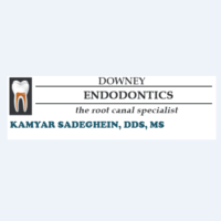 Dr. Kamyar  Sadeghein