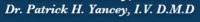 Dr. Patrick H Yancey