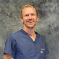 Dr. Phillip Neal Tippin