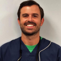 Dr. David L Wirth