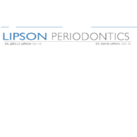 Dr. David  Lipson