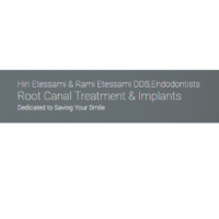 Dr. Hirbod  Etessami