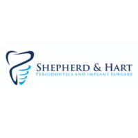 Dr. Stephen R Shepherd