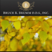 Dr. Bruce Robert Brumm