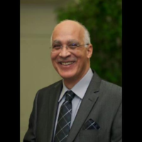 Dr. Alaa E Abdel-Maqsoud