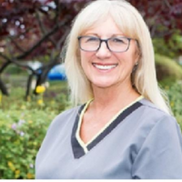 Dr. Dyan M Van De Velde