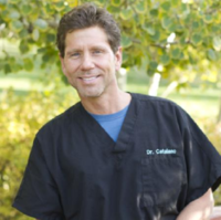 Dr. Joseph M Catalano