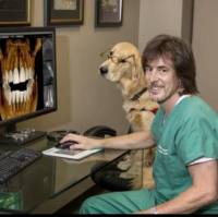 Dr. Robert K Slosberg