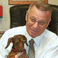 Dr. Robert A De Palma