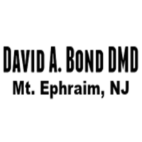 Dr. David A Bond