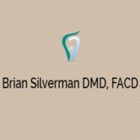 Dr. Brian  Silverman