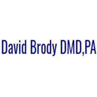 Dr. David  Brody