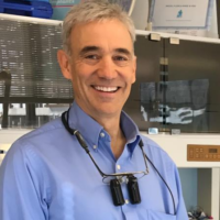 Dr. Michael F Salerno