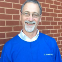 Dr. Randall K Mcvey
