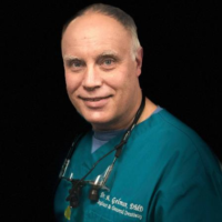Dr. Alexander  Gelman